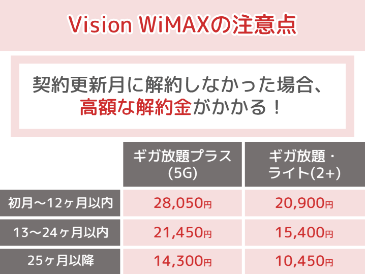 Vision WiMAXの注意点