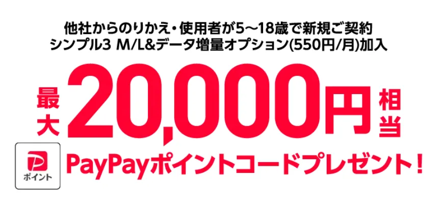 ワイモバイルPayPayポイントプレゼント