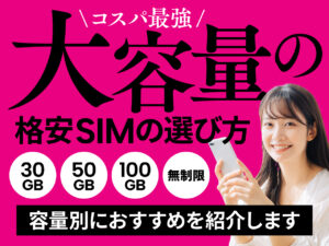 30GB・50GB・100GB・無制限 コスパ最強の大容量の格安SIMの選び方 容量別におすすめを紹介