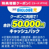 ビッグローブ光 特典内容