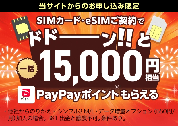 ワイモバイルYahoo!店のSIM契約特典で一括15,000円相当のPayPayポイントがもらえる