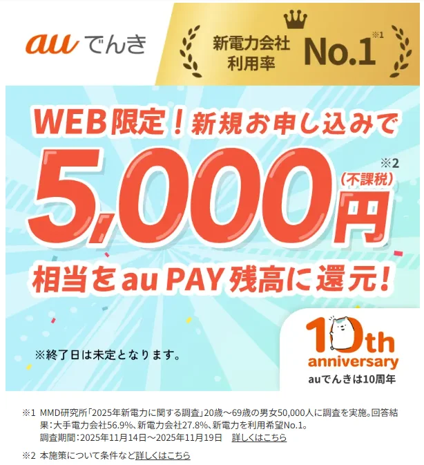 auでんきのWEB限定キャンペーン（新規申込みでau PAY残高5,000円相当）